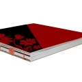 Buch mit offener Fadenbindung mit grünem Faden
